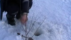 Это не диалоги о рыбалке,а просто мысли вслух