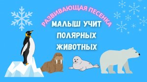 🐧🐻❄️Развиваюшая песенка про белого медведя и пингвина. Малыш учит полярных животных