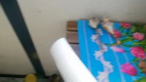 автоматический освежитель воздуха глейд