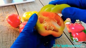 СЛАДКИЙ ПЕРЕЦ 2018// ОТЗЫВ о 7 сортах и 2 гибридах. #обзор #перец #урожай #pepper