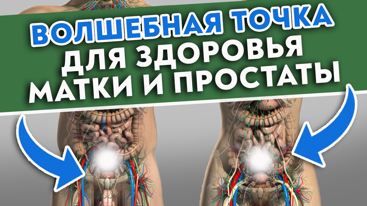 Ключ от МУЖСКОГО и ЖЕНСКОГО здоровья! Точка кишечника вылечит мочеполовую систему!