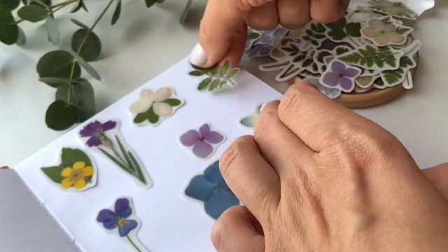 Наклейки из Гербария / Herbarium stickers смотреть онлайн