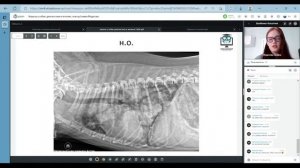 Трансляция фрагмента интенсива с Галиной Федосовой "Кашель у собак: диагностика и лечение"
