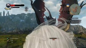 The Witcher 3: First Person View Glitch Battle