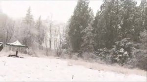 КАК СНИМАЛИ СУМЕРКИ.САГА.НОВОЛУНИЕ.ЧАСТЬ4.wmv