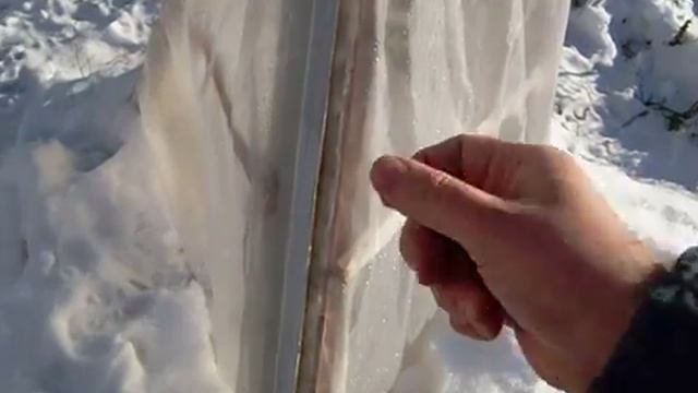 Как укрыть южное растение от мороза? смотреть онлайн