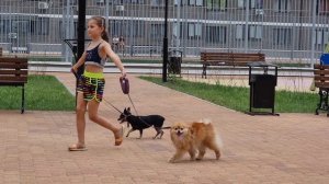 Ника, Персик и Дося