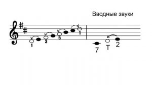 Ре мажор. Вводные звуки. Тетрахорды. Сольфеджио.