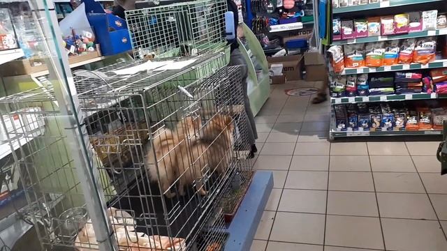 ДАРИ ДОБРЫЕ ДЕЛА-девиз нормальных людей смотреть онлайн