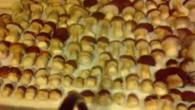 Боровички 22 смотреть онлайн