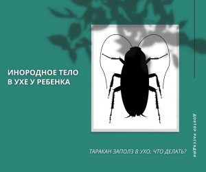 Инородное тело в ухе у ребенка, застряла игрушка. Таракан заполз в ухо. Что делать?