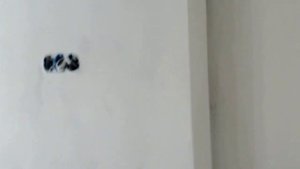 малярка потолка из гипсокартона