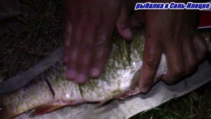 Рыбка горячего копчения, подготовка и приготовление.