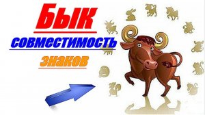 Бык совместимость знаков