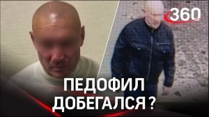 Педофила из Домодедова поймали полицейские