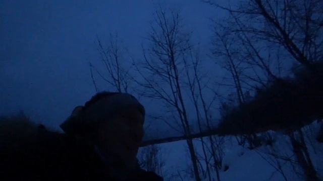 Рыбалка на мойву вместо живца. Рыбалка на жерлицы. Рыбалка на болотном озере. Озеро в лесу. Fishing