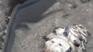 Nakalay Beach Phuket