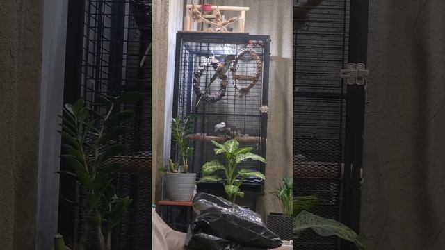 4 ноября 2023 г.