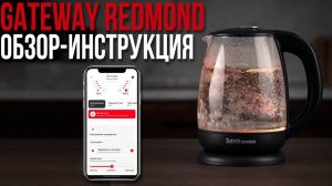 Как подключить технику REDMOND к приложению REDMOND Gateway и Алисе для управления через интернет