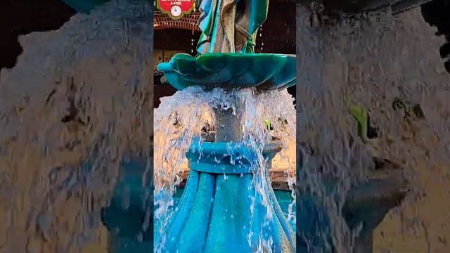 Duck Lives at Miss Piggy Muppets Fountain #shorts #disney #tourism