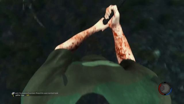 The Forest. coop. Первый закат. смотреть онлайн