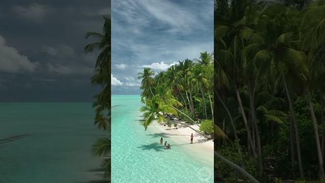 Прекрасное утро на Мальдивах❤🌴