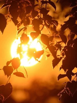 Прекрасного доброго вечера!