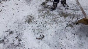 Убираем снег бензокосой!