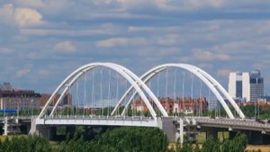 NEW 2020 ,,Рисунок жизни,, Кондрат Эккерт