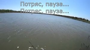Ловля карпа и карася спиннингом на мормышку.