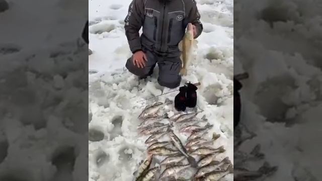 11.01.20г. Рыбалка в Камском устье. База Клевое местечко