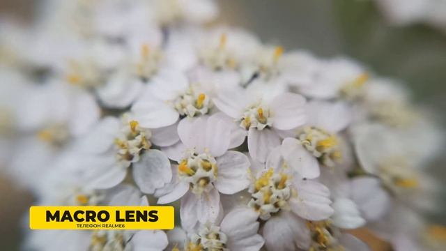 Объективы для телефона | Фишай на телефоне | Макрофотография на телефон смотреть онлайн