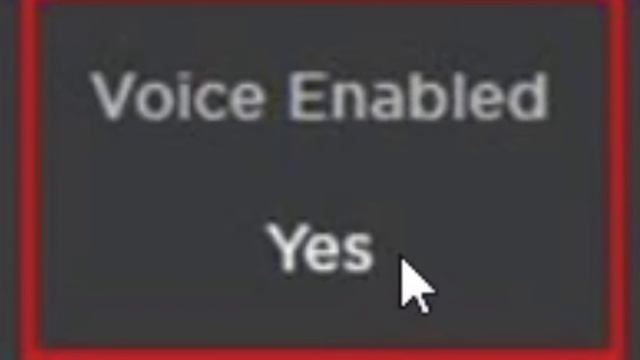 HOW TO USE ROBLOX VOICE CHAT WITHOUT VERIFICATION смотреть онлайн