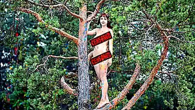 ТРИ СОСНЫ, ТРИ СОСОЧКИ, ТРИ СОСКИ))) ПРИКОЛ 100%))) 18+