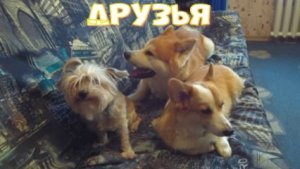Не секрет что друзья не растут в огороде.