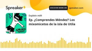 Ep. ¿Comprendes Méndez? Los mixomicetos de la isla de Utila (part 3 of 4)