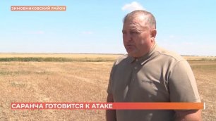 Борьба с саранчой в Ростовской области