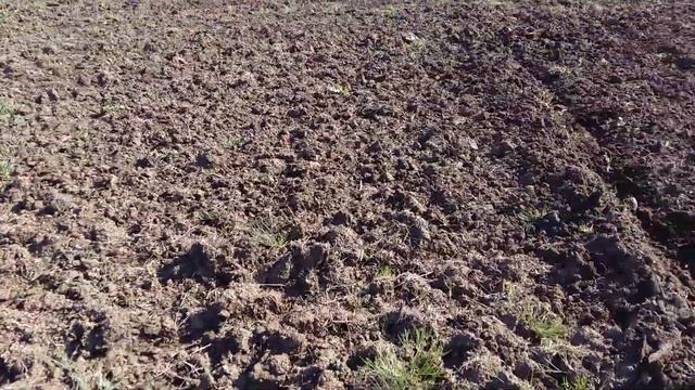 ЮМЗ-6. Борона дисковая прицепная своими руками смотреть онлайн