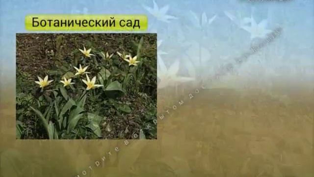 Детям о ботаническом саде. Охрана растений в ботаническом саду