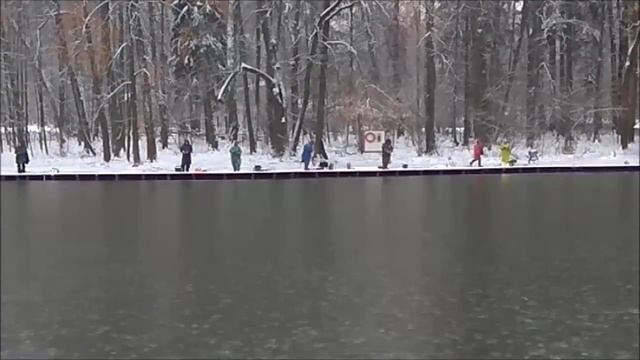 Сегодня лучше работают закидушки. Клёвое место, Лосиный остров, верхний водоём. смотреть онлайн