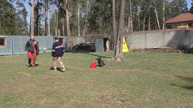 Чемпионат Московской области 2017 г. по ОКД и ЗКС (двоеборье). смотреть онлайн