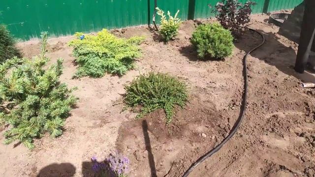Как сделать рокарий на участке.