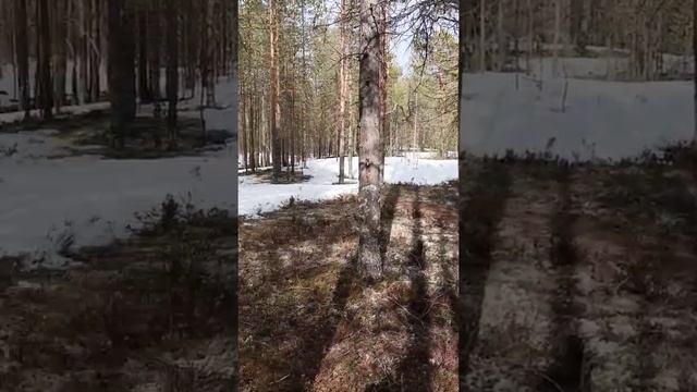 Кудьма 30 апреля 2022 смотреть онлайн