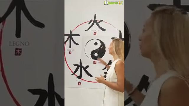 L'utilizzo dell'olio essenziale di arancio amaro secondo la Medicina Tradizionale Cinese смотреть онлайн