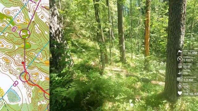 Спортивное ориентирование (headcam orienteering) - Белый Ночи 2022, Петяярви, лонг - 25.06.2022 смотреть онлайн