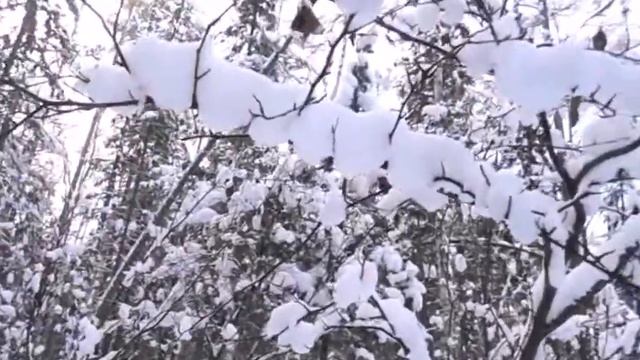 Зимняя зарисовка. Восточная Сибирь #2 / Winter sketch. Eastern Siberia #2 смотреть онлайн