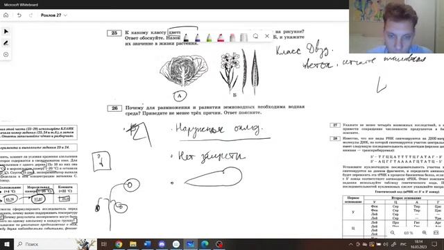 РОХЛОВ 27 Варианта РЕШУЕГЭ. ВТОРАЯ ЧАСТЬ