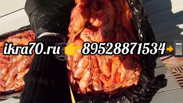 Креветка🍤🦐в Томске💒.еверске🏭! ikra70.ruКреветка🦐Ботан-Эби🔥. 89528871534📲