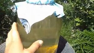 Живой квас из пророщенной пшеницы!