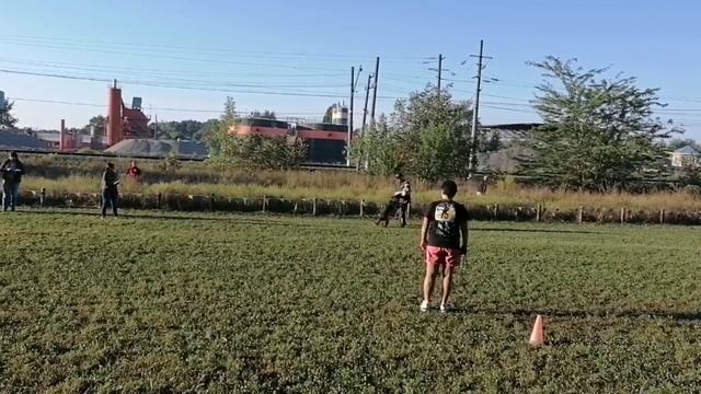 6 V   Аллемо Хаус ЯХТА (Аллемо Хаус Кэш – Аллемо Хаус Хасандра) 75 +++